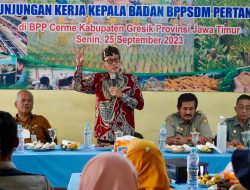 Kementan Ajak Penyuluh Pertanian Maksimalkan Teknologi