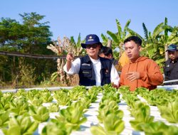 Kunjungi Petani Milenial Pasuruan, Kementan Sampaikan 3 Elemen Utama Syarat Keberhasilan Petani Muda