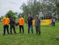 PT BRE Berikan 30 Sapi Kurban Untuk Warga Tapin