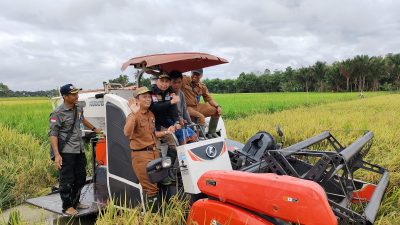 Pertanian Jadi Prioritas Utama dalam RPJPD Kabupaten Tapin